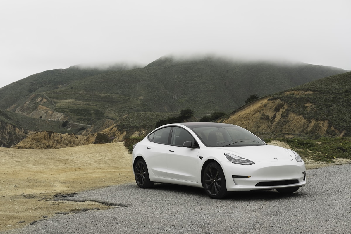 Tesla Model 3 в приложении